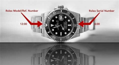 rolex watch model number